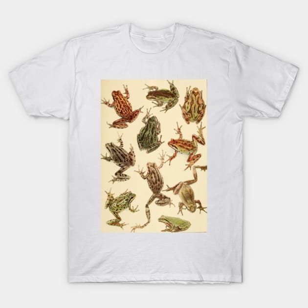 Vintage Frogs T-Shirt by bluespecsstudio